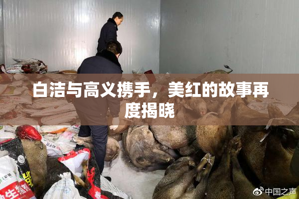 白洁与高义携手，美红的故事再度揭晓