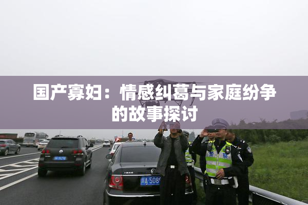 国产寡妇：情感纠葛与家庭纷争的故事探讨
