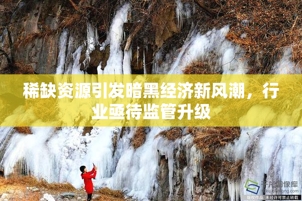 稀缺资源引发暗黑经济新风潮，行业亟待监管升级
