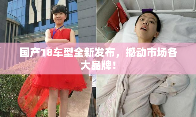 国产18车型全新发布，撼动市场各大品牌！