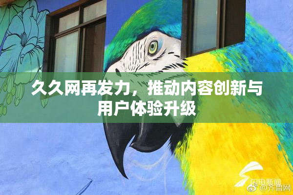 久久网再发力，推动内容创新与用户体验升级