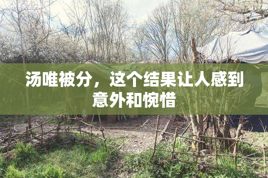 汤唯被分，这个结果让人感到意外和惋惜