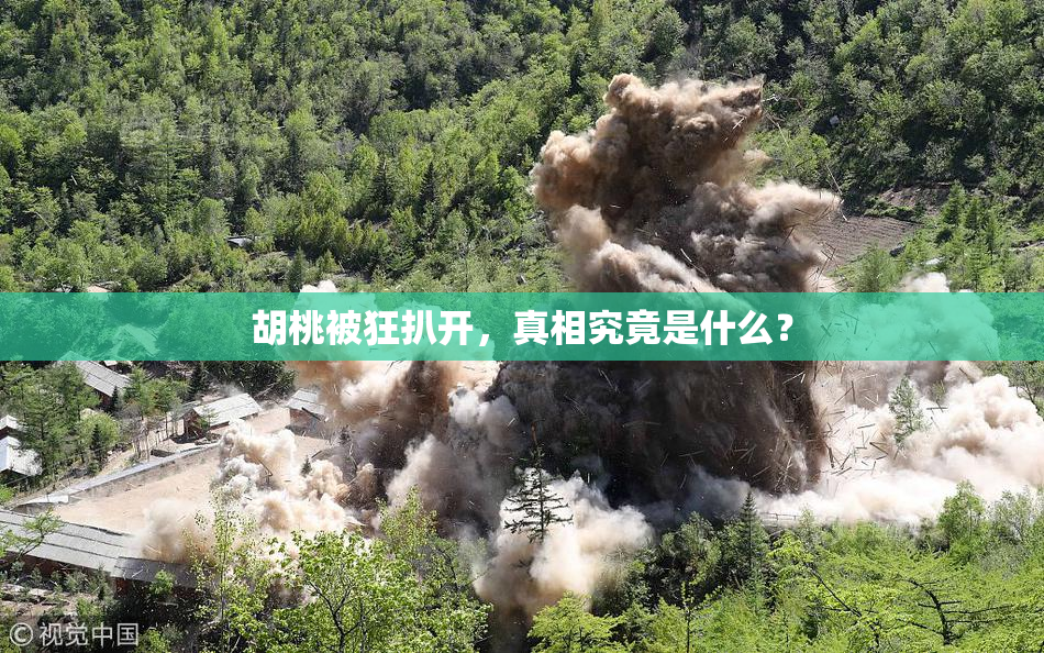 胡桃被狂扒开，真相究竟是什么？