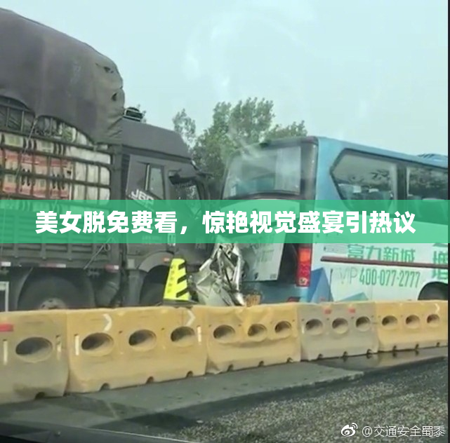 美女脱免费看，惊艳视觉盛宴引热议