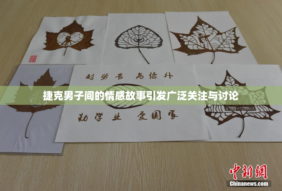 捷克男子间的情感故事引发广泛关注与讨论