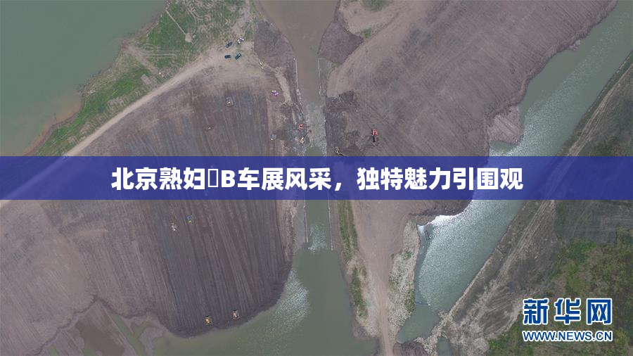 北京熟妇槡B车展风采，独特魅力引围观