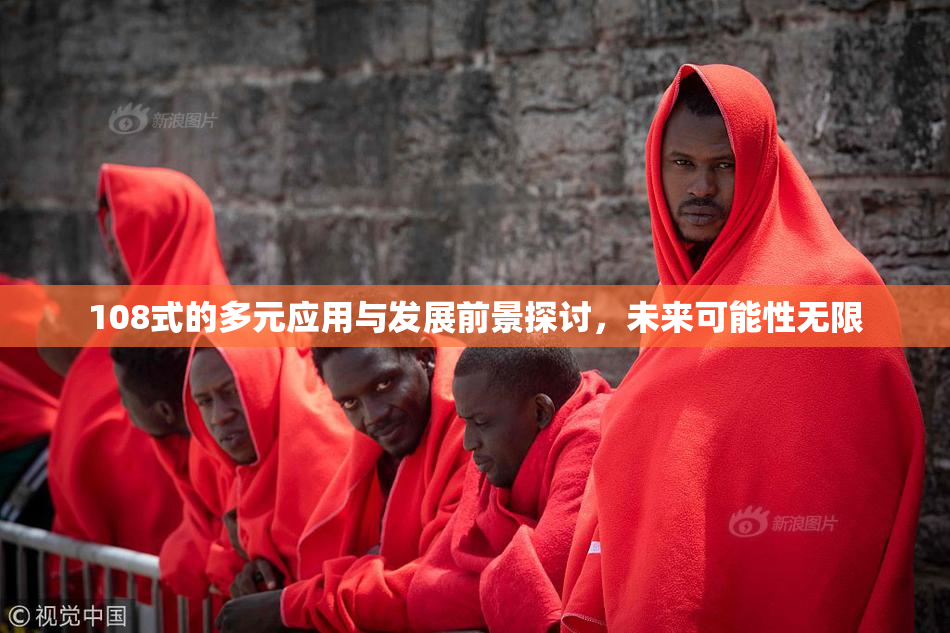 108式的多元应用与发展前景探讨，未来可能性无限