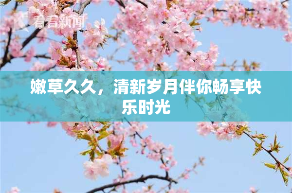 嫩草久久，清新岁月伴你畅享快乐时光