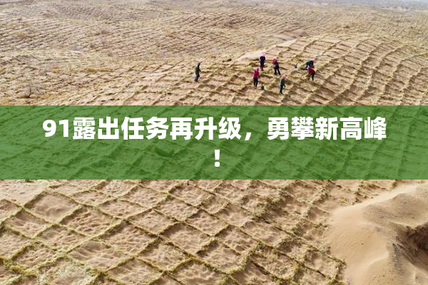 91露出任务再升级，勇攀新高峰！