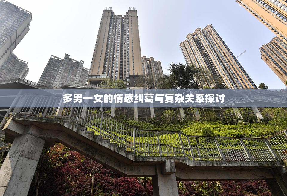 多男一女的情感纠葛与复杂关系探讨