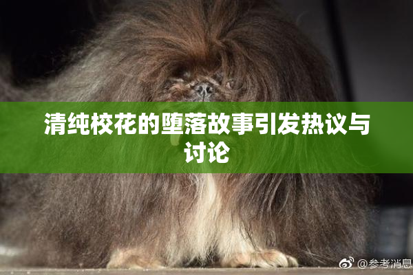 清纯校花的堕落故事引发热议与讨论