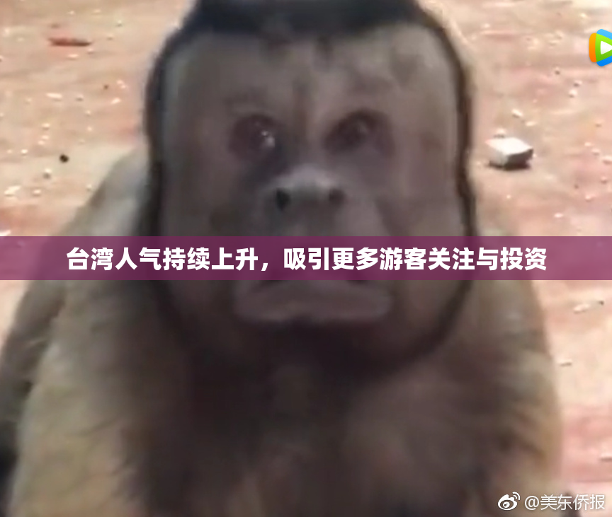台湾人气持续上升，吸引更多游客关注与投资