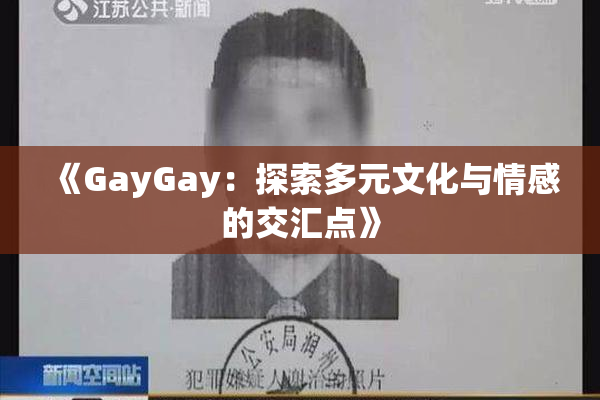 《GayGay：探索多元文化与情感的交汇点》