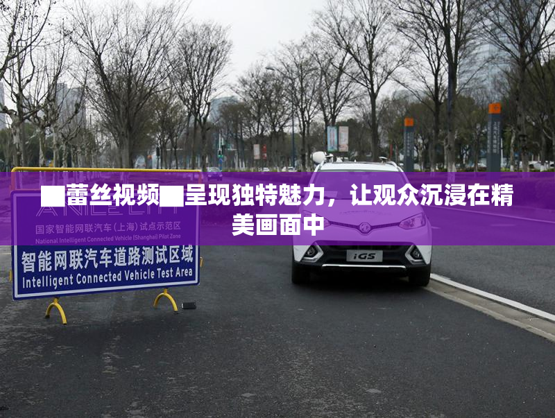 ▇蕾丝视频▇呈现独特魅力，让观众沉浸在精美画面中