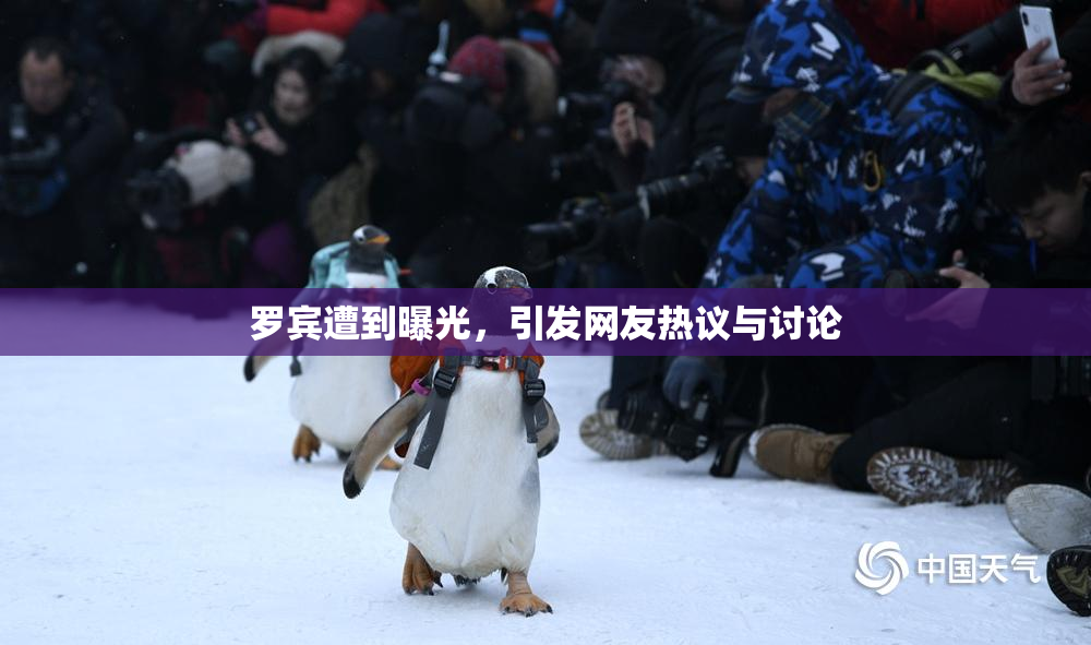 罗宾遭到曝光，引发网友热议与讨论