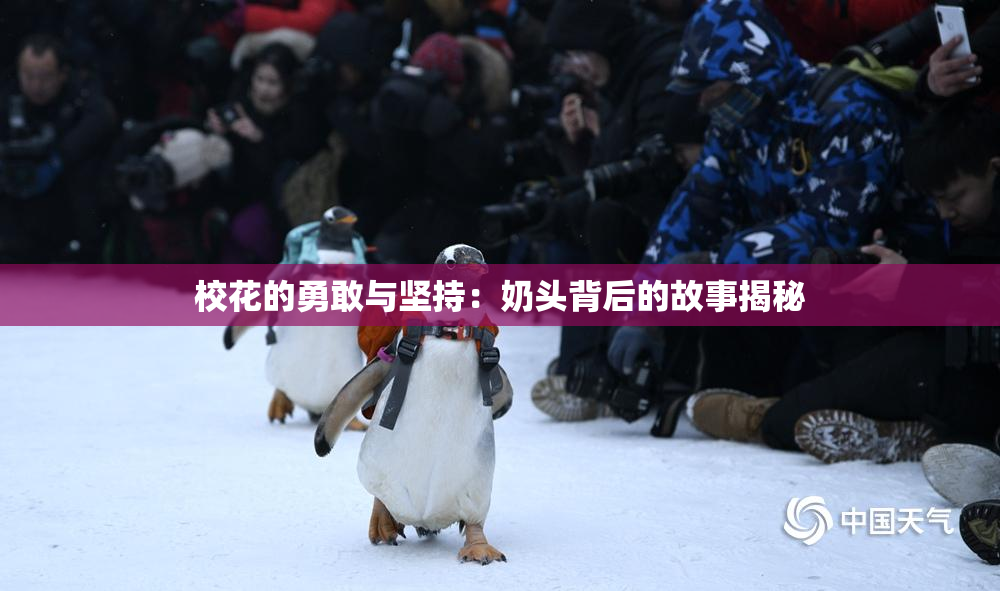 校花的勇敢与坚持：奶头背后的故事揭秘