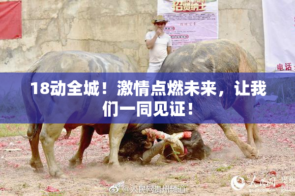 18动全城！激情点燃未来，让我们一同见证！
