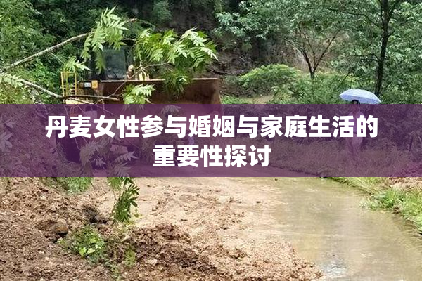 丹麦女性参与婚姻与家庭生活的重要性探讨