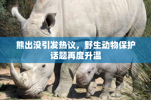 熊出没引发热议，野生动物保护话题再度升温