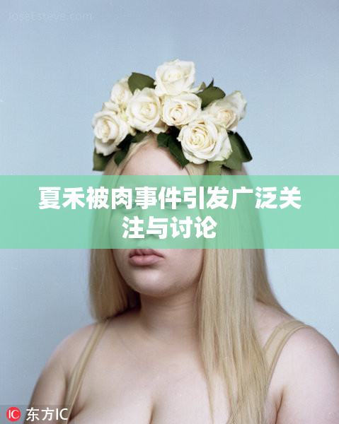 夏禾被肉事件引发广泛关注与讨论