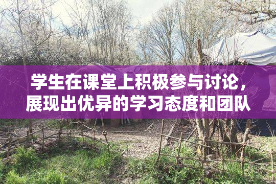 学生在课堂上积极参与讨论，展现出优异的学习态度和团队合作精神。