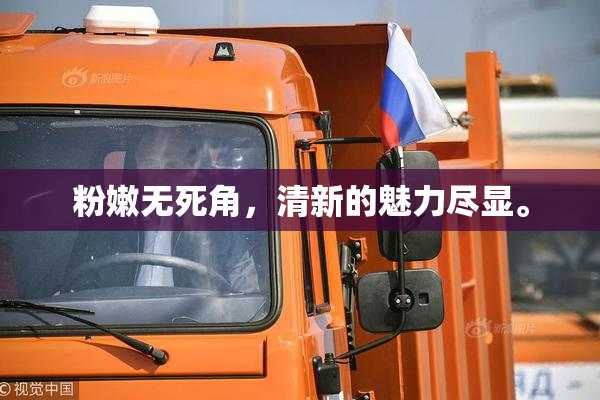 粉嫩无死角，清新的魅力尽显。