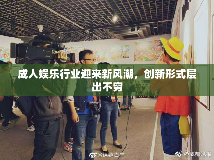 成人娱乐行业迎来新风潮，创新形式层出不穷