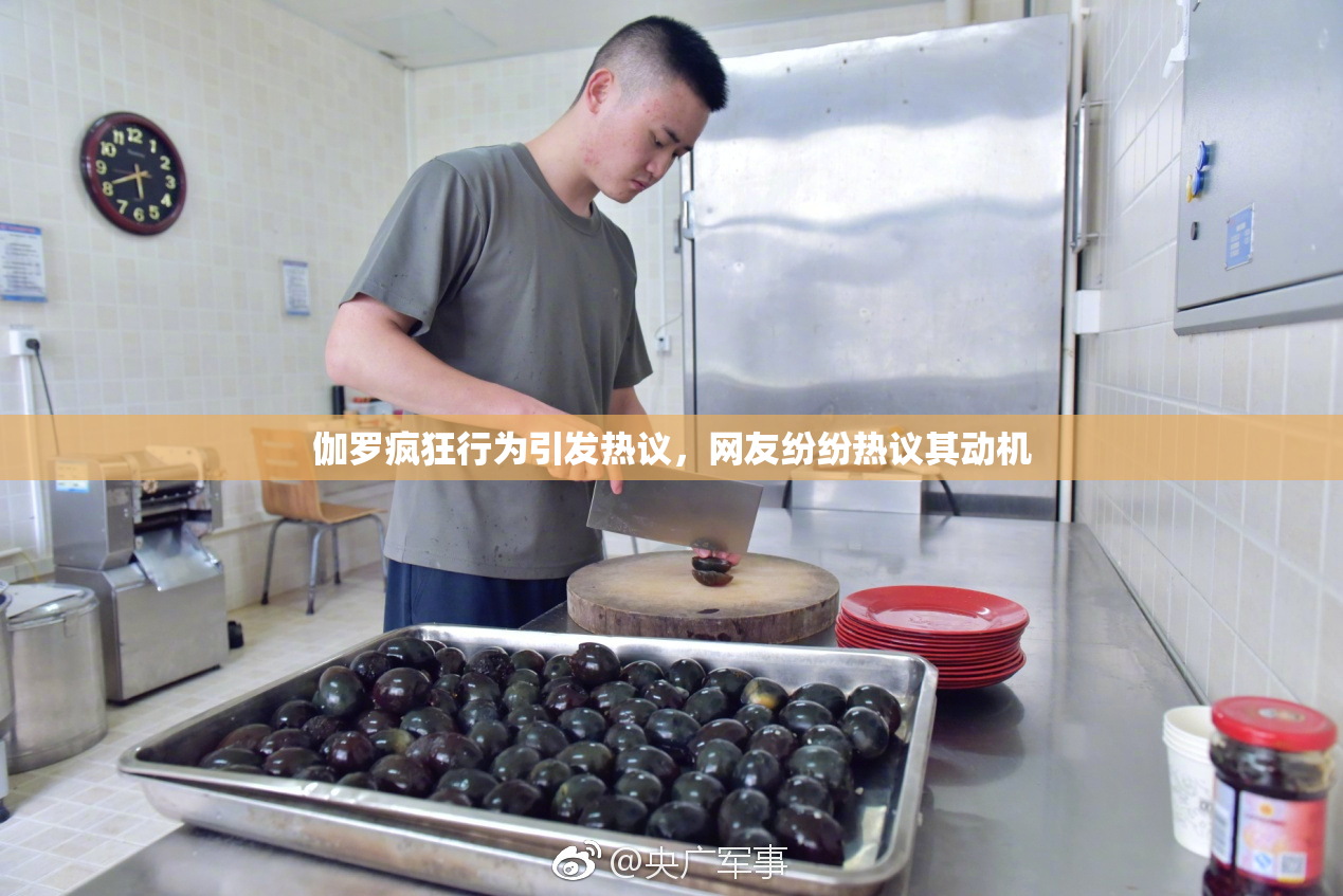 伽罗疯狂行为引发热议，网友纷纷热议其动机