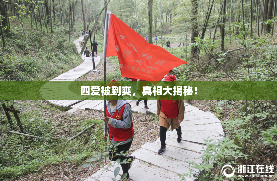 四爱被到爽，真相大揭秘！