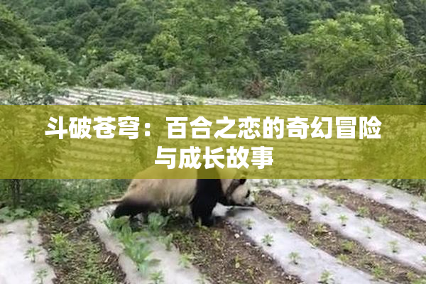 斗破苍穹：百合之恋的奇幻冒险与成长故事