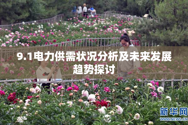 9.1电力供需状况分析及未来发展趋势探讨