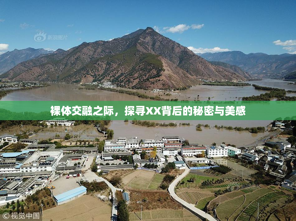 裸体交融之际，探寻XX背后的秘密与美感