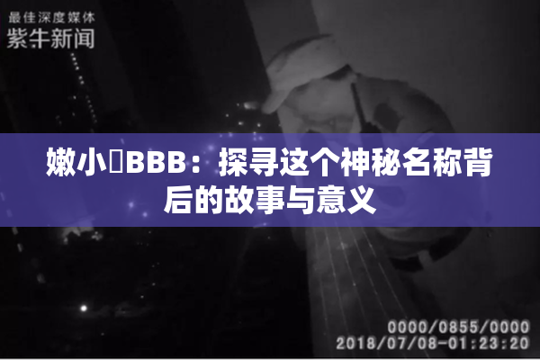 嫩小槡BBB：探寻这个神秘名称背后的故事与意义