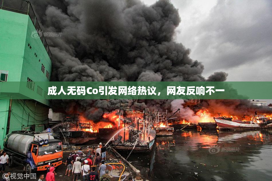 成人无码Co引发网络热议，网友反响不一