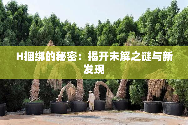 H捆绑的秘密：揭开未解之谜与新发现