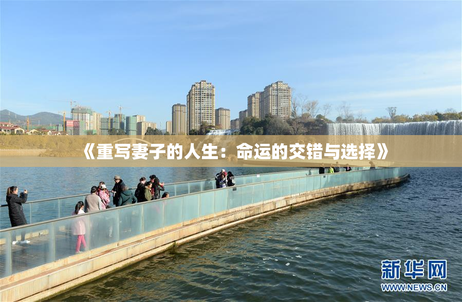 《重写妻子的人生：命运的交错与选择》