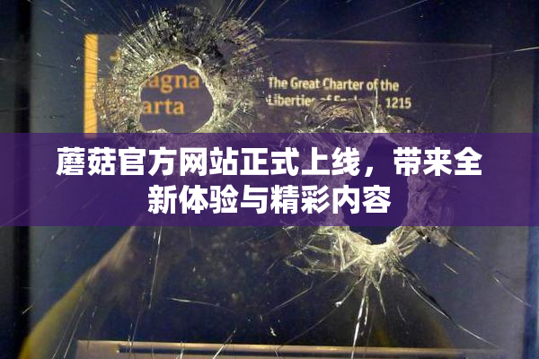 蘑菇官方网站正式上线，带来全新体验与精彩内容