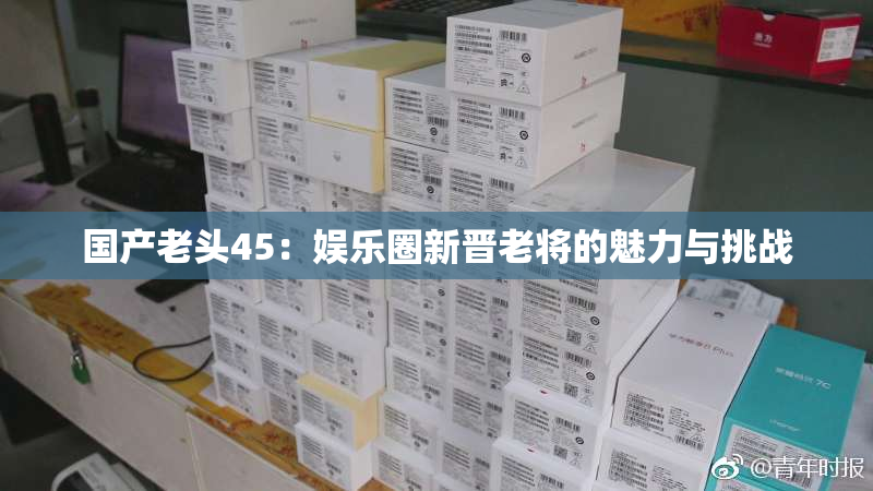 国产老头45：娱乐圈新晋老将的魅力与挑战