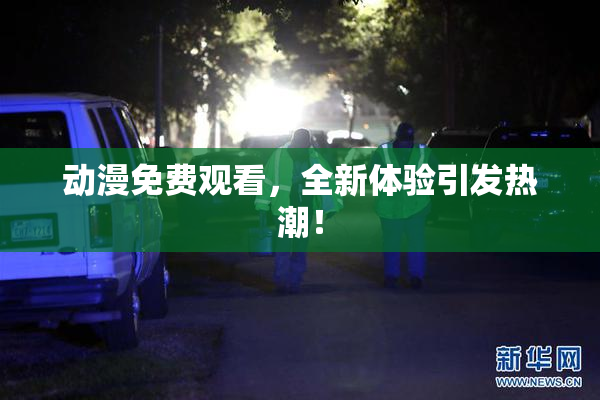 动漫免费观看，全新体验引发热潮！