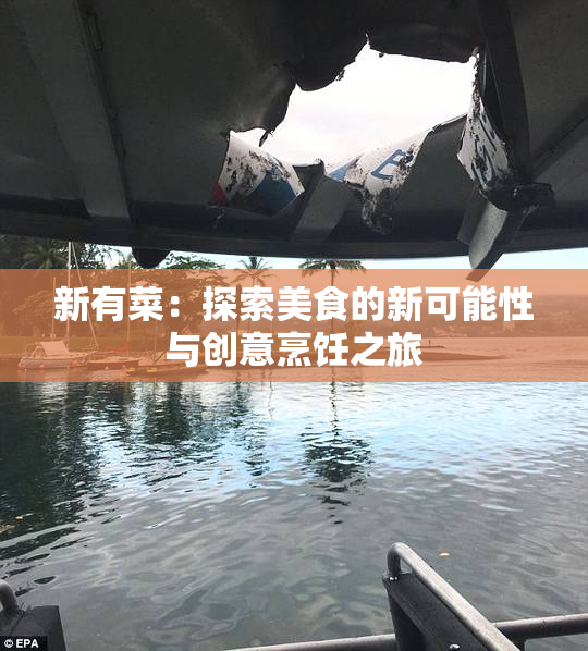新有菜：探索美食的新可能性与创意烹饪之旅