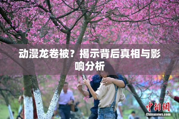 动漫龙卷被？揭示背后真相与影响分析