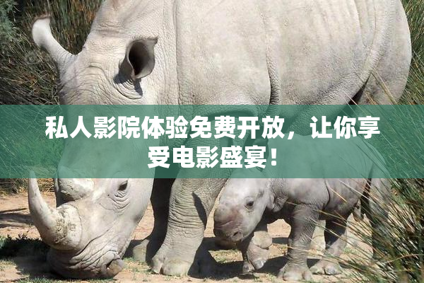 私人影院体验免费开放，让你享受电影盛宴！