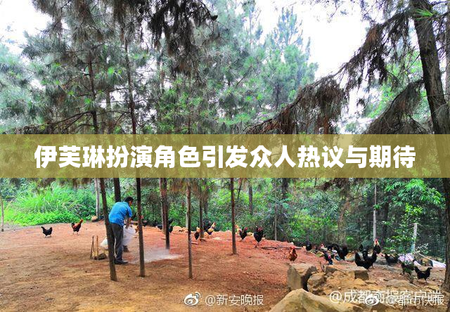 伊芙琳扮演角色引发众人热议与期待