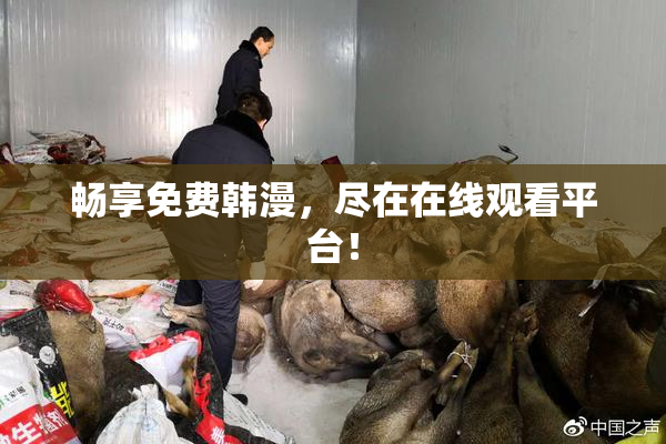 畅享免费韩漫，尽在在线观看平台！