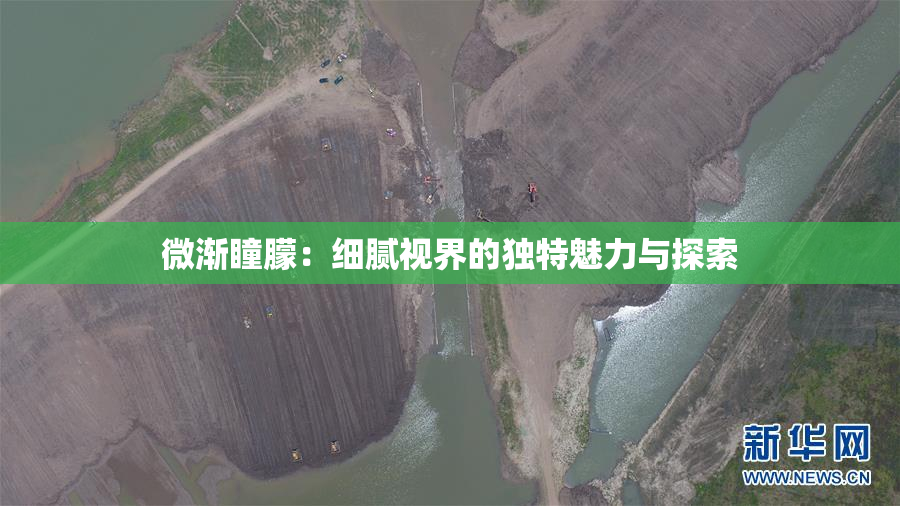微渐瞳朦：细腻视界的独特魅力与探索