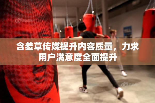 含羞草传媒提升内容质量，力求用户满意度全面提升