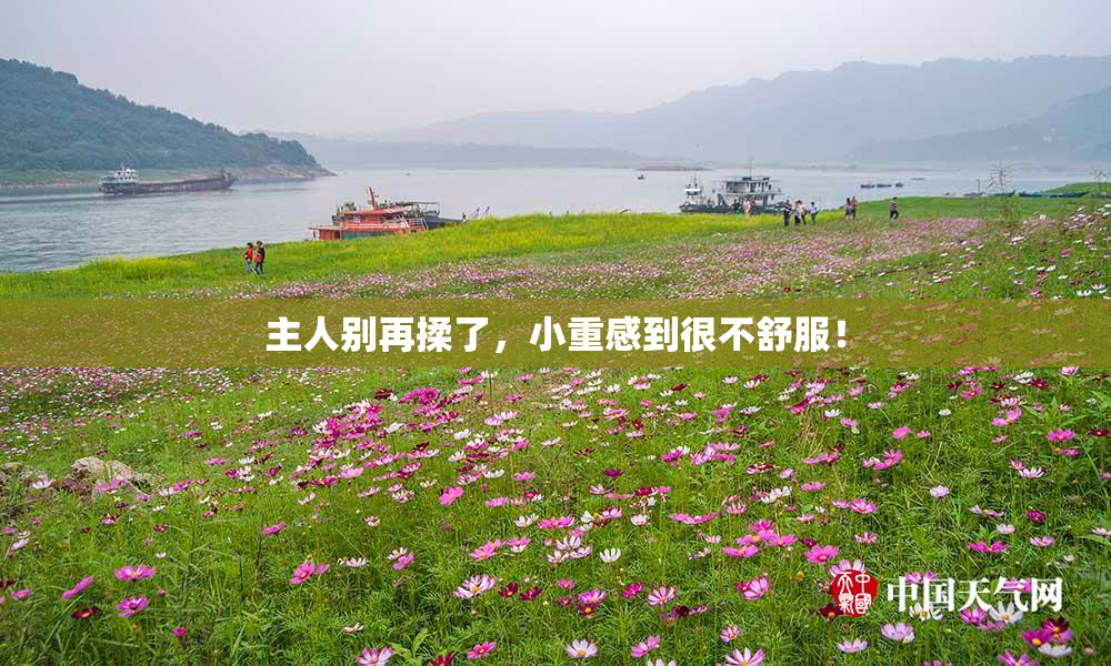 主人别再揉了，小重感到很不舒服！