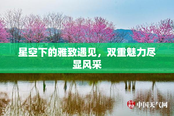 星空下的雅致遇见，双重魅力尽显风采