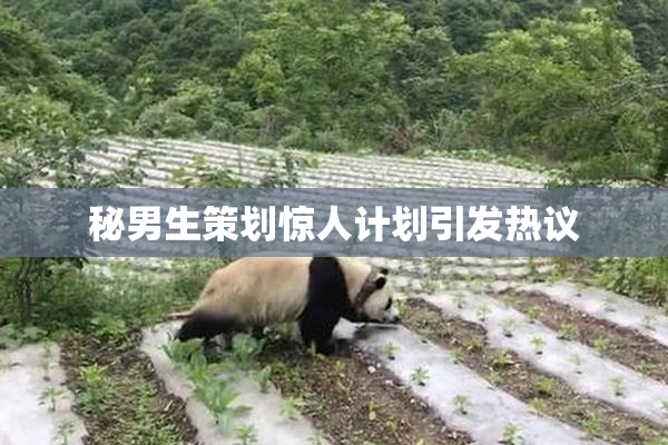 秘男生策划惊人计划引发热议