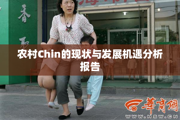 农村Chin的现状与发展机遇分析报告